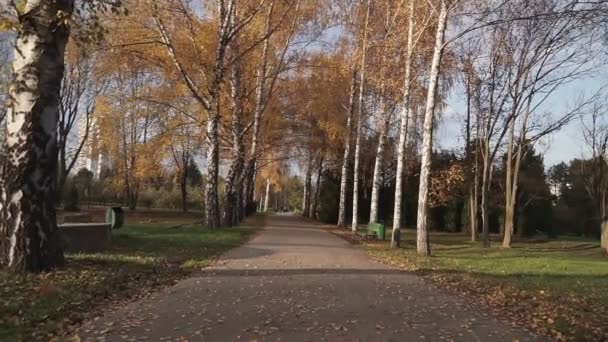 カメラは晴れた日に空の秋の都市公園を移動します 長い路地は明るい紅葉で覆われています 背景に太陽の光と美しい秋の風景 Pov — ストック動画