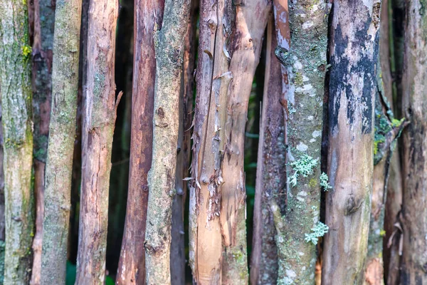 Vecchio Sfondo Legno Struttura Legno Utilizzato Fare Sfondi Vostri Disegni — Foto Stock