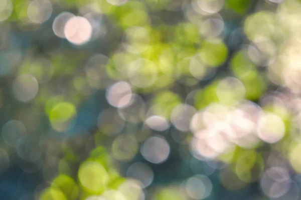 Abstract Natuur Bokeh Achtergrond Groen Gebladerte Van Het Bos Groene — Stockfoto
