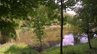 Gölet çimenler ve ağaçlar karşı şehir binaların arasında yeşil su ile.