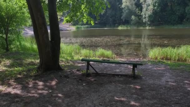 ベンチと自然と湖 — ストック動画
