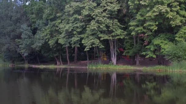 Teich Mit Grünem Wasser Zwischen Rasenflächen Und Bäumen Gegen Gebäude — Stockvideo