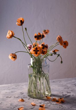 Klasik tarzda hazırlanmış küçük kırmızı gelincik buketi. Popies 'in klasik bir vazoda durgun hayatı.