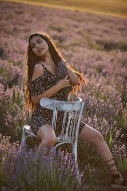 Elbiseli güzel bir kız ahşap bir sandalyede oturur ve lavanta tarlasında poz verir..