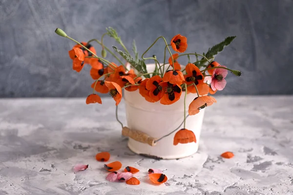 Een Red Poppies Boeket Witte Vaas Stilleven Met Wilde Klaprozen — Stockfoto