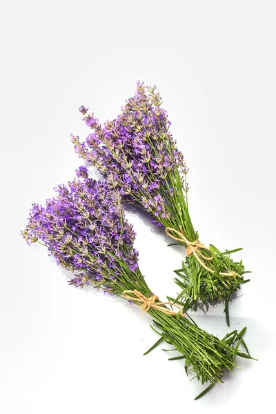 Bouquet Fleurs Lavande Isolé Sur Fond Blanc — Photo