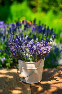 Ahşap üzerinde lavanta demeti olan beyaz vazo, lavanta tarlası arka planında