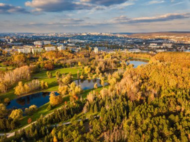 Sonbahar ağaçlarıyla dolu bir parktaki göl manzarası. Kishinev, Moldova. Suyun üzerinde destansı bir uçuş. Gündüzleri renkli sonbahar ağaçları.