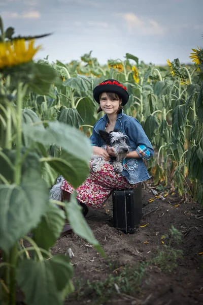 Söt Flicka Med Gammal Resväska Och Hund Ett Solrosfält — Stockfoto