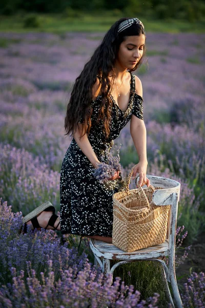 Mujer Con Una Cesta Campo Lavanda —  Fotos de Stock