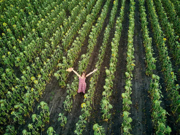 小女孩站在向日葵地里 双手高举在空中 空中景观 — 图库照片
