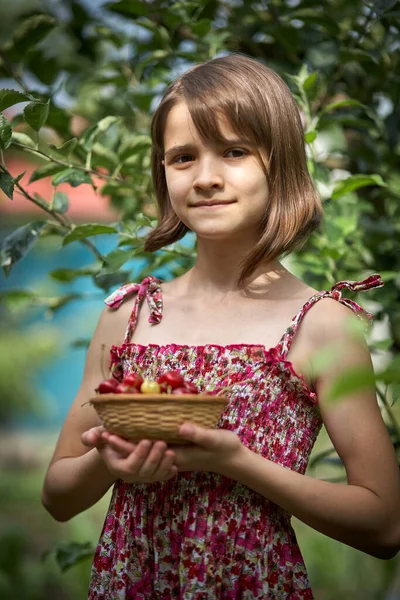 Menina Bonita Segurando Uma Tigela Cerejas Jardim — Fotografia de Stock