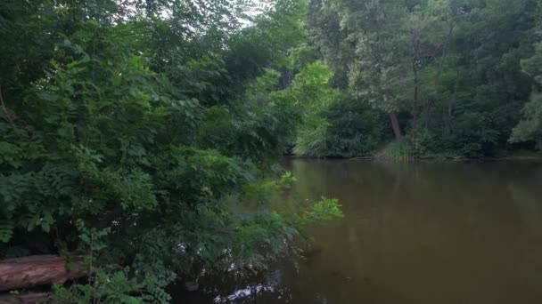 Dammen Med Grönt Vatten Bland Gräsmattor Och Träd Mot Stadens — Stockvideo