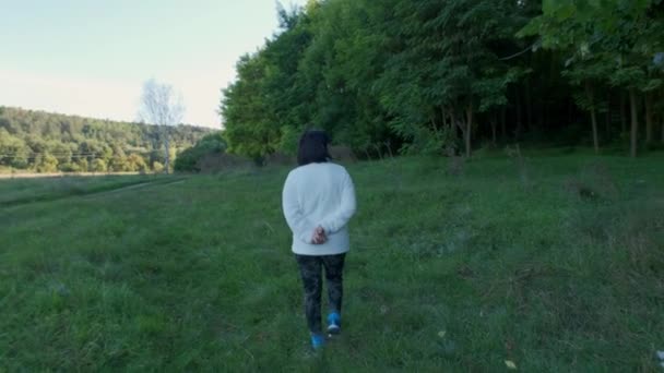 Mujer Caminando Bosque Verde Día Soleado Vista Trasera — Vídeos de Stock