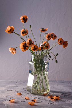 Klasik tarzda hazırlanmış küçük kırmızı gelincik buketi. Popies 'in klasik bir vazoda durgun hayatı.