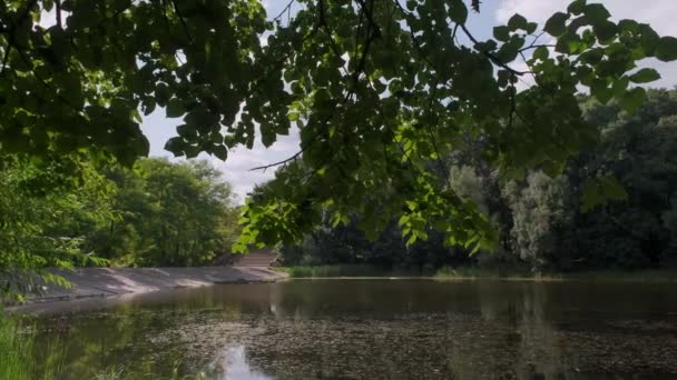 Lagoa Com Água Verde Entre Gramados Árvores Contra Edifícios Cidade — Vídeo de Stock