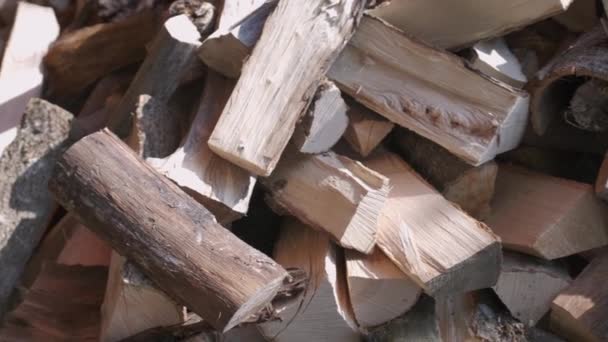 Klein bruin gehakt brandhout met grijze schors stapel ligt — Stockvideo