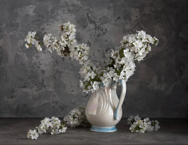 Flores Cereja Vaso Branco Fundo Cinza Primavera Ainda Vida — Fotografia de Stock
