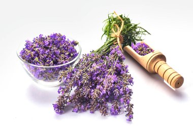 Taze lavanta demeti ve cam kasede lavanta çiçekleri. beyaz arkaplanda izole.