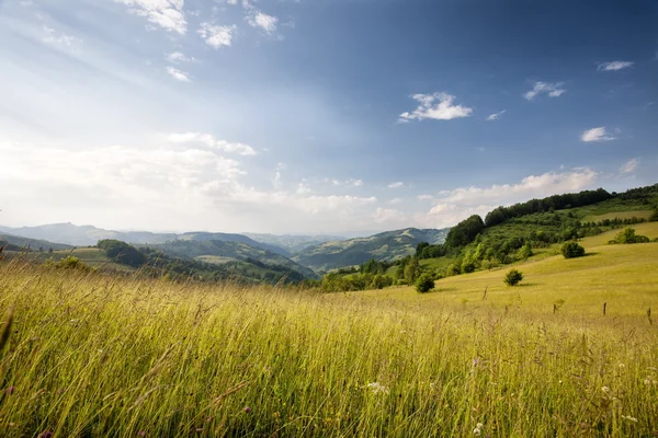 Berglandschap — Stockfoto