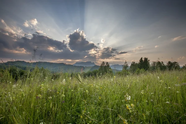 Väldigt sunset — Stockfoto