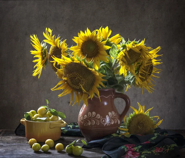 Słoneczniki — Zdjęcie stockowe