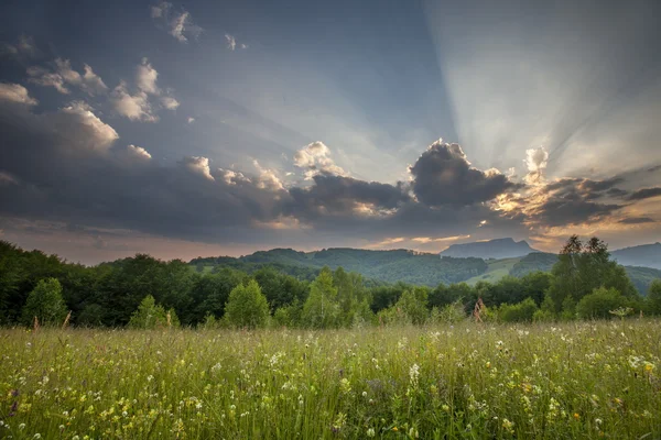 Magestic sunset — Stock Photo, Image