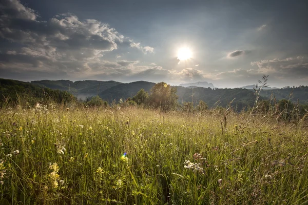 Väldigt sunset — Stockfoto