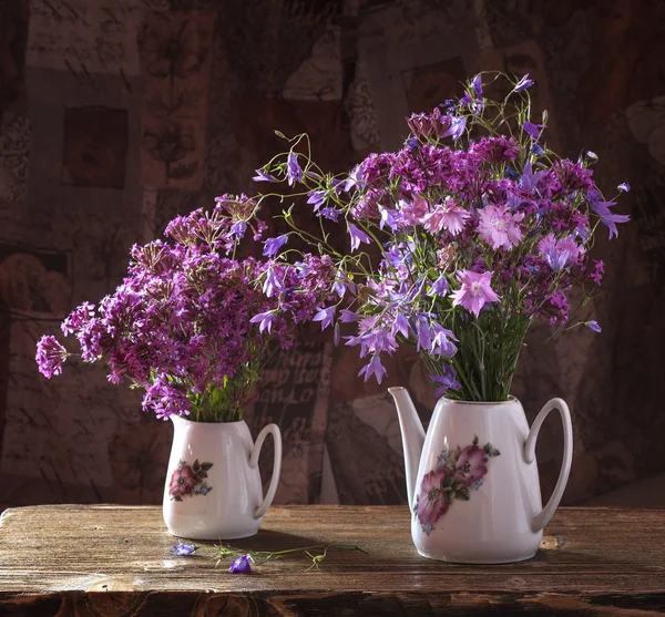 Fiori di campo — Foto Stock