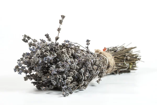 Lavanda — Foto Stock