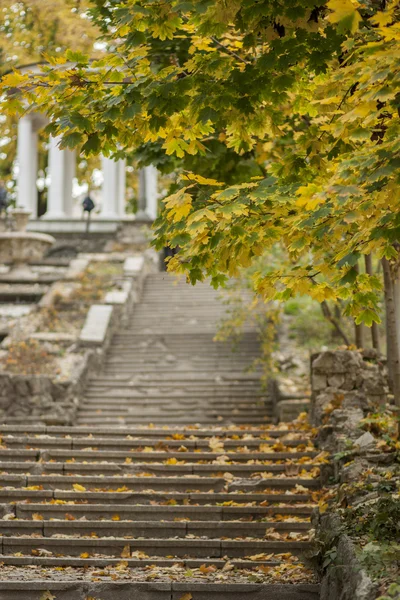 Parque — Fotografia de Stock