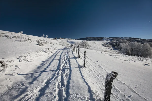 Зима в гори — стокове фото