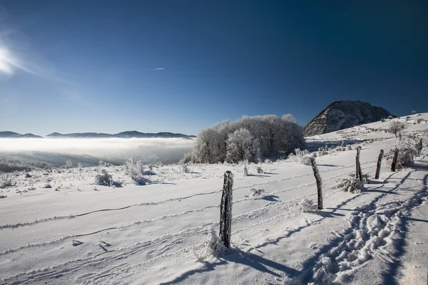 Winter in mountain — Stock Photo, Image