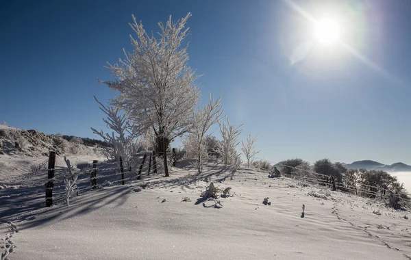 Inverno in montagna — Foto Stock