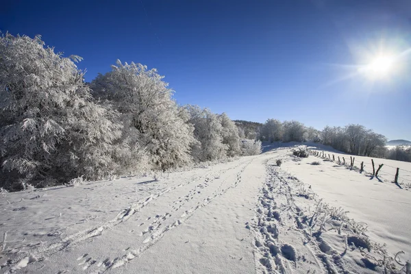 Hiver en montagne — Photo