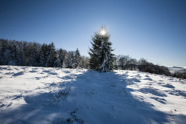 Inverno — Fotografia de Stock