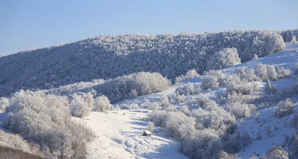 Paisagem inverno — Fotografia de Stock