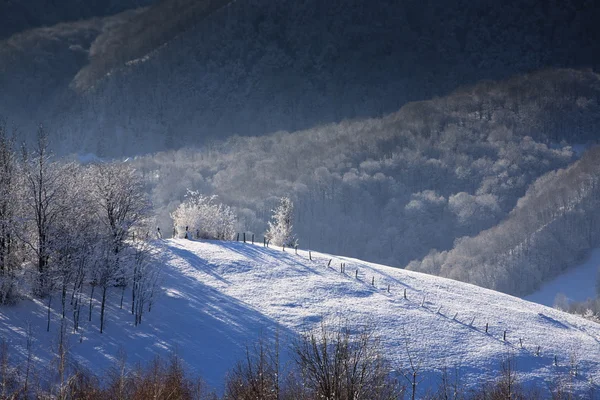 Paisagem inverno — Fotografia de Stock