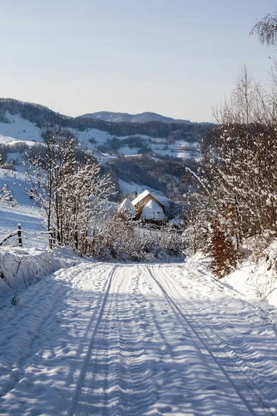 Winterochtend — Stockfoto