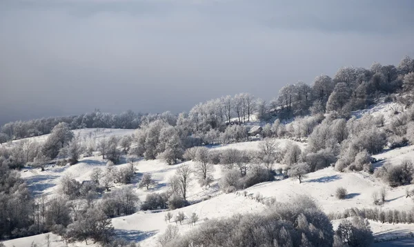 Zimní krajina — Stock fotografie