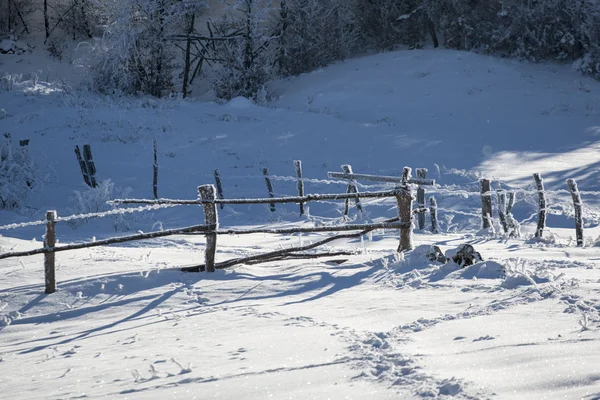 Winterlandschap — Stockfoto