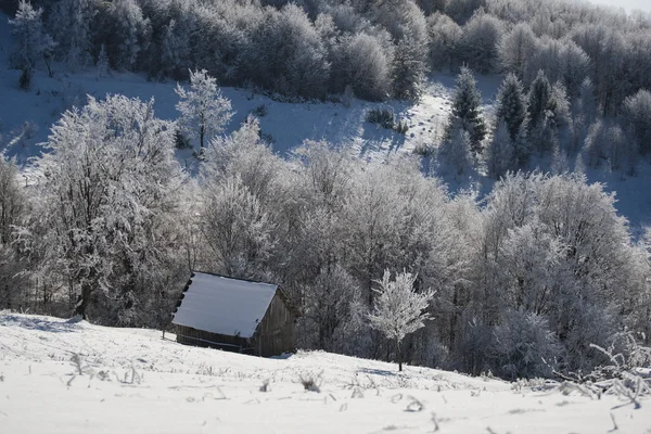 Oude boerderij — Stockfoto