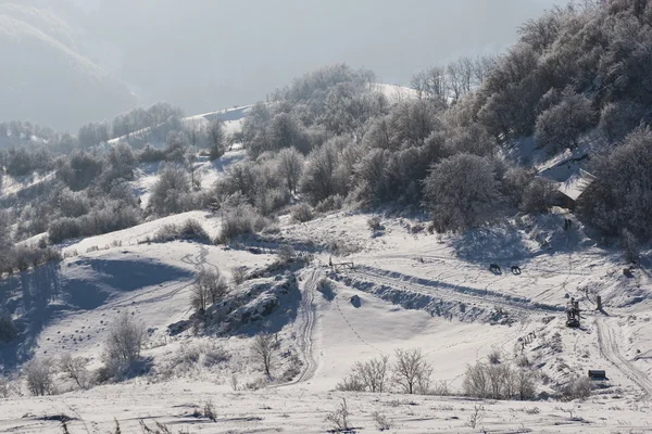 Wintermorgen — Stockfoto