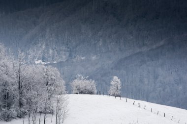Kış Dağı Manzarası