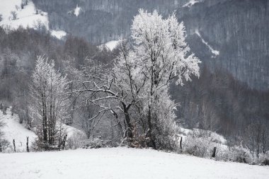 Kış Dağı Manzarası