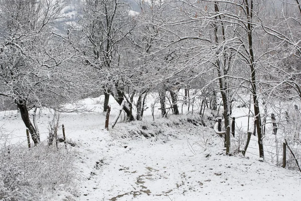 Vicolo invernale — Foto Stock