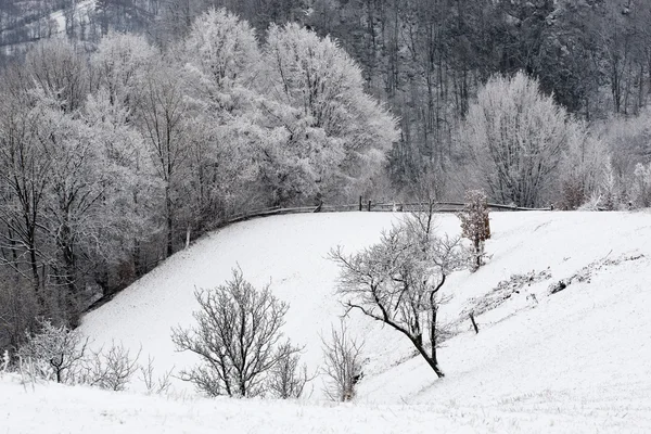 Paesaggio montano invernale — Foto Stock