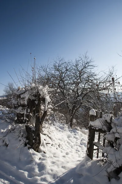 Winterlandschap — Stockfoto