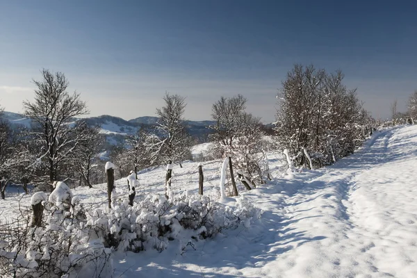 Winterlandschap — Stockfoto