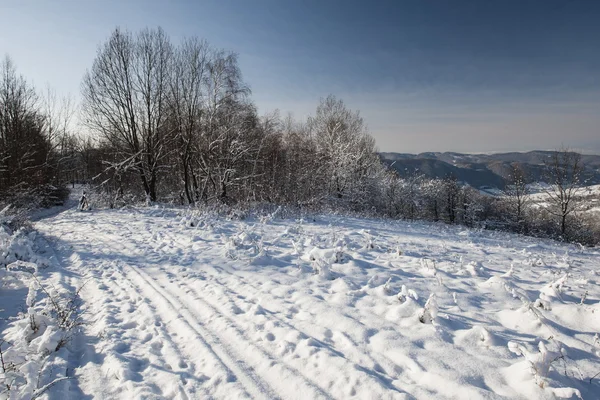 Winter morning — Stock Photo, Image